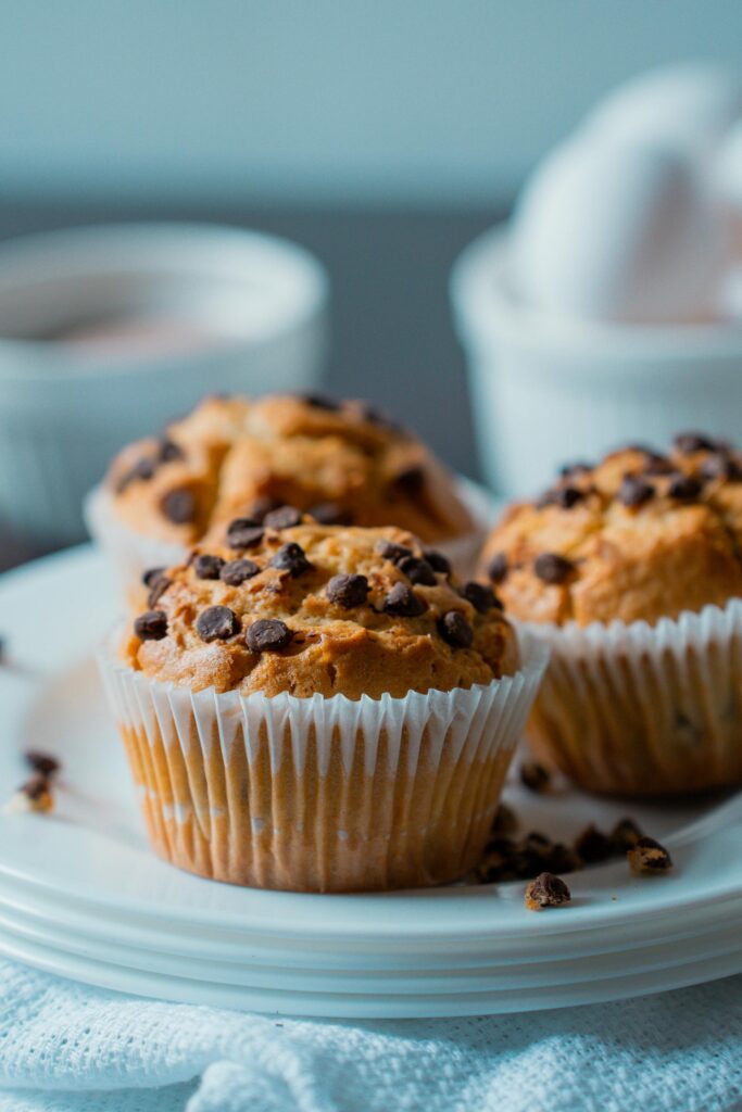 Protein Muffin Recipes